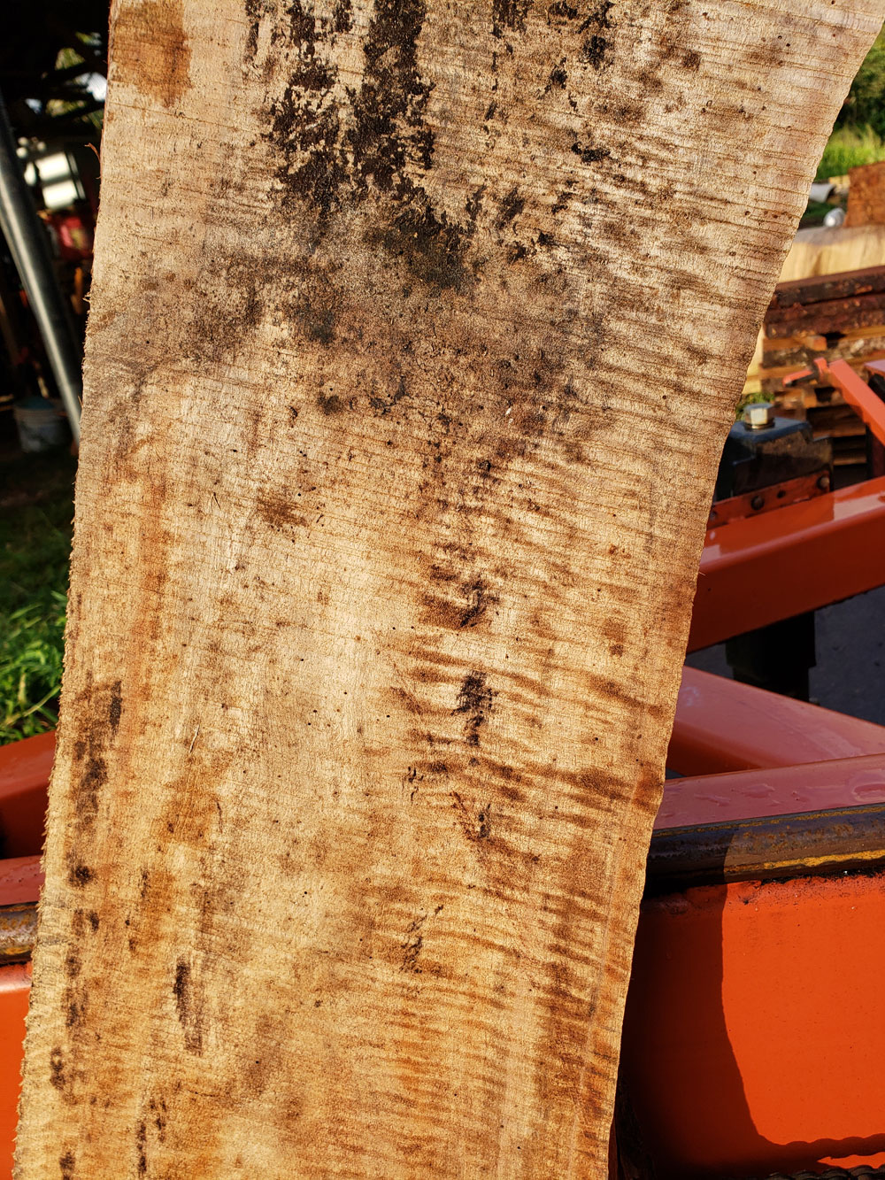 Mango slab, MNG701 Kalama Hardwoods