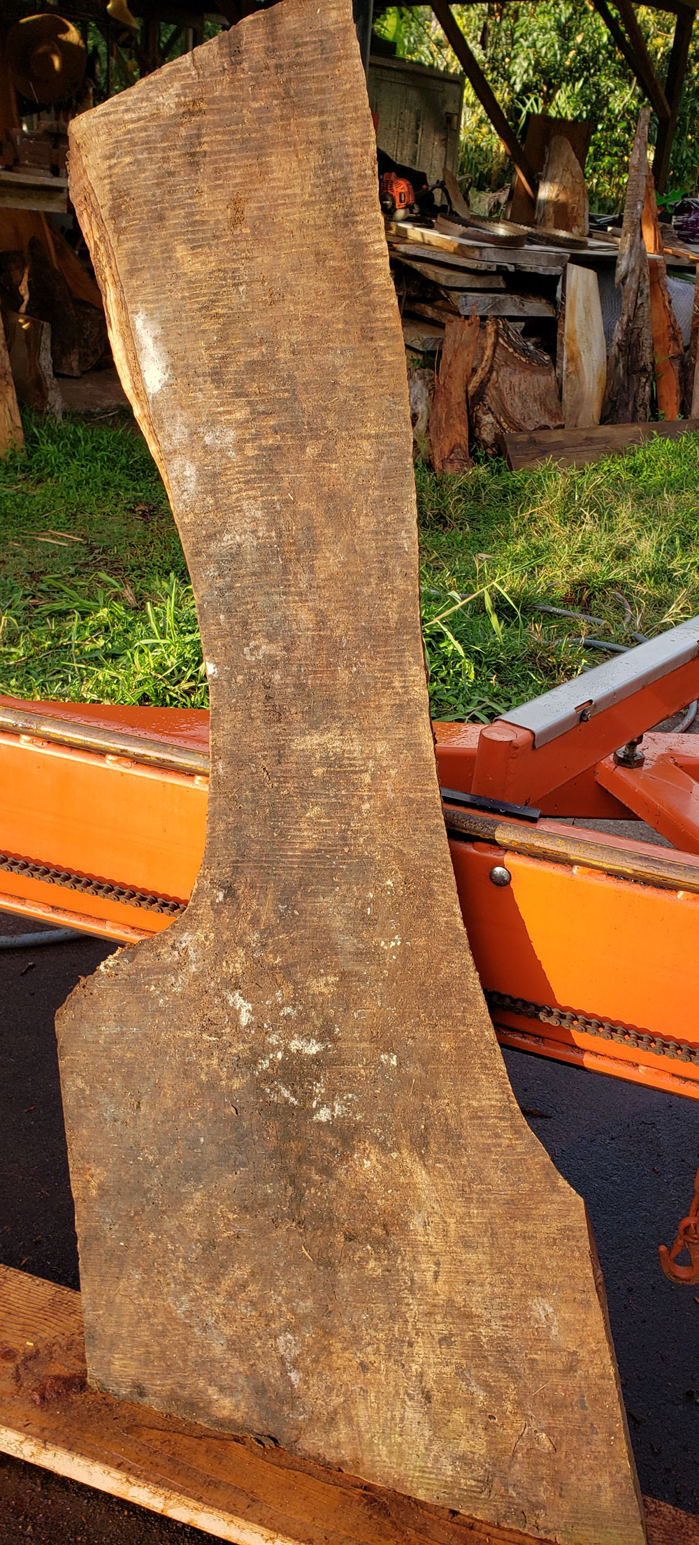 Mango slab, MNG701 Kalama Hardwoods